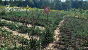 Українці на Чернігівщині підв’язують помідори табличками про міни