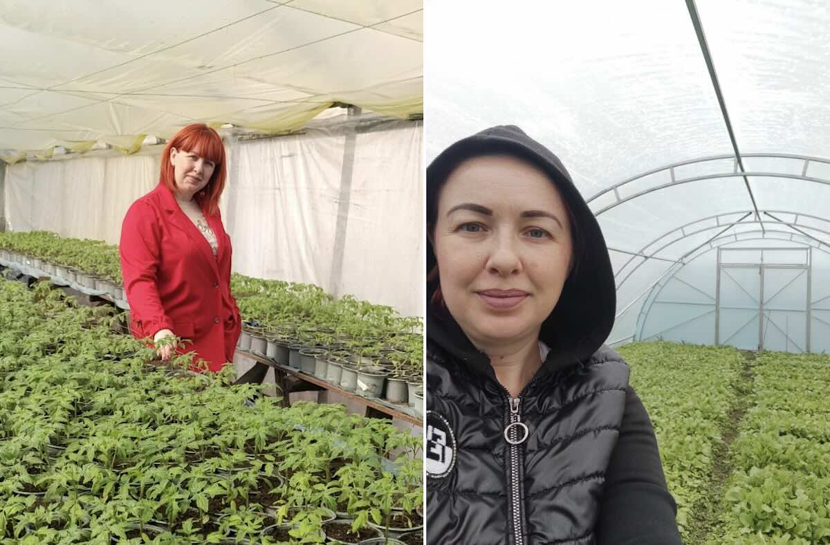 Фармацевтка з Харкова створила тепличний бізнес після втечі / Фото: відкриті джерела